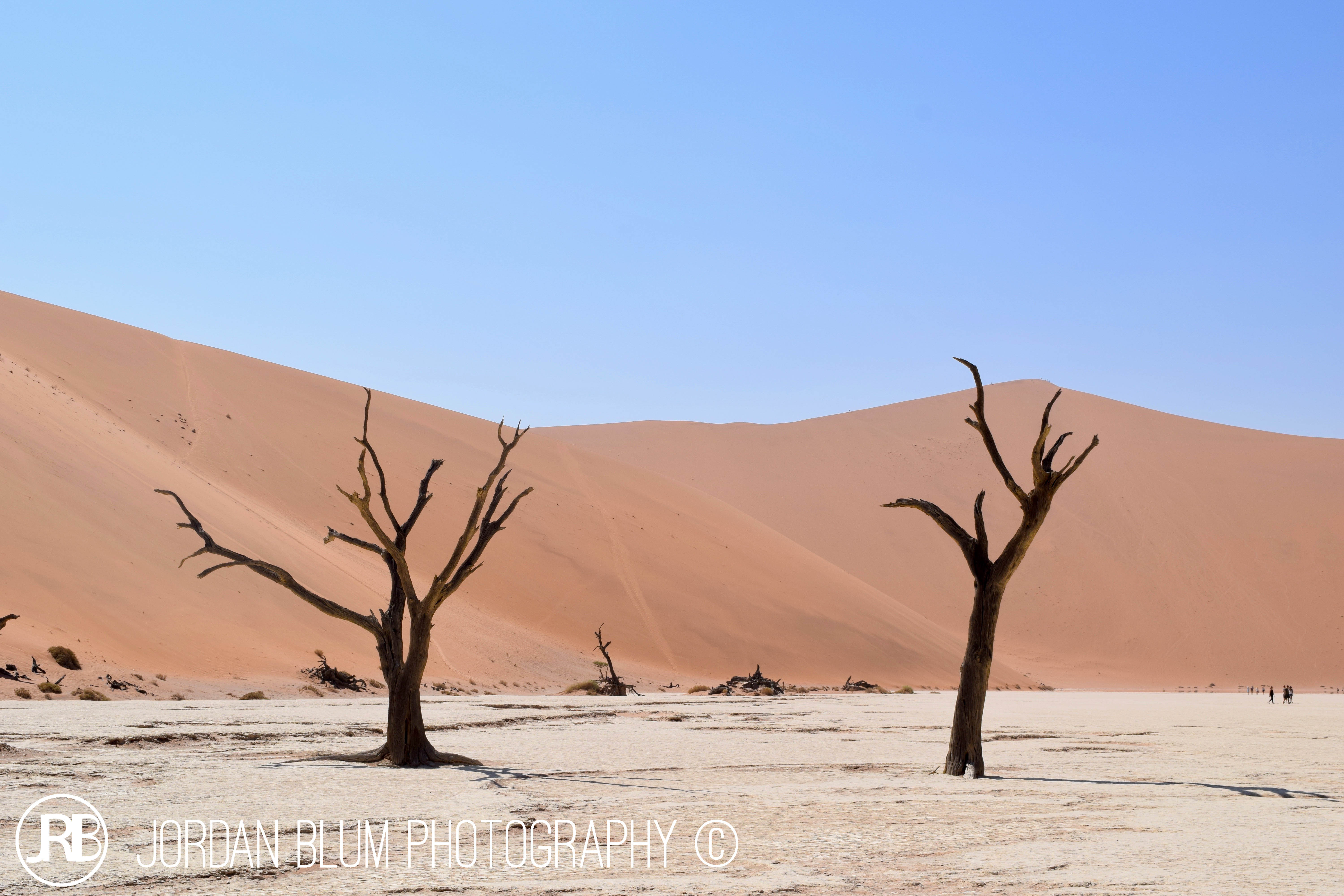 Deadvlei, Namibia — dead trees on white clay pan